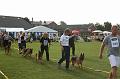 CENTA 047